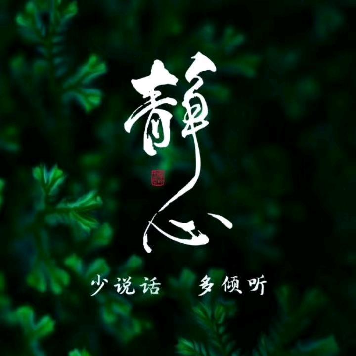姐的霸气你不懂