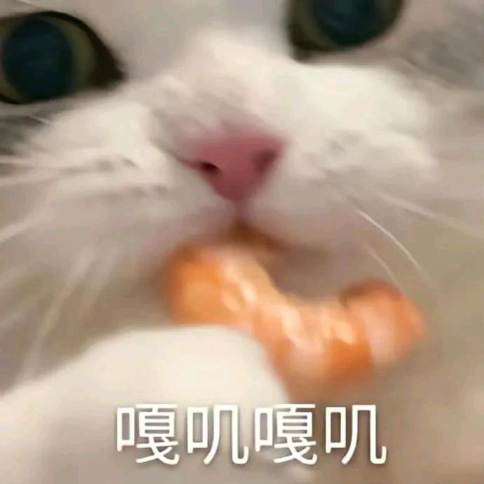 幻听.
