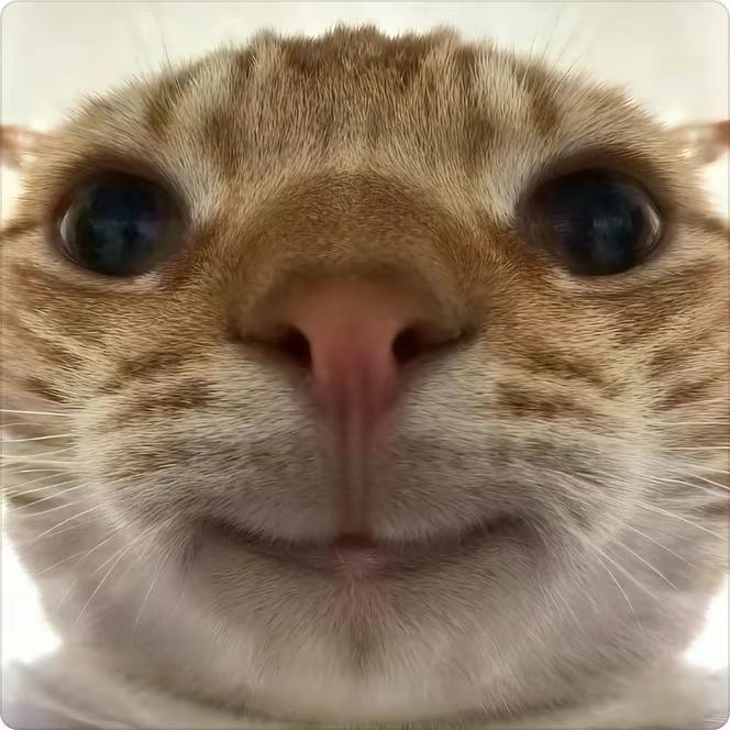 𠄎头像
