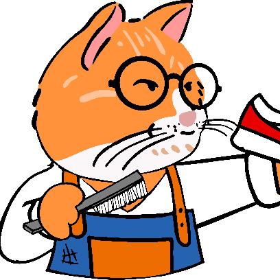 大懒猫洗鞋吧🐱