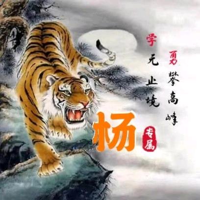 楊先森.