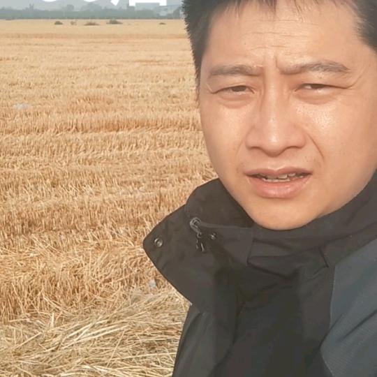 岩浆讲种植