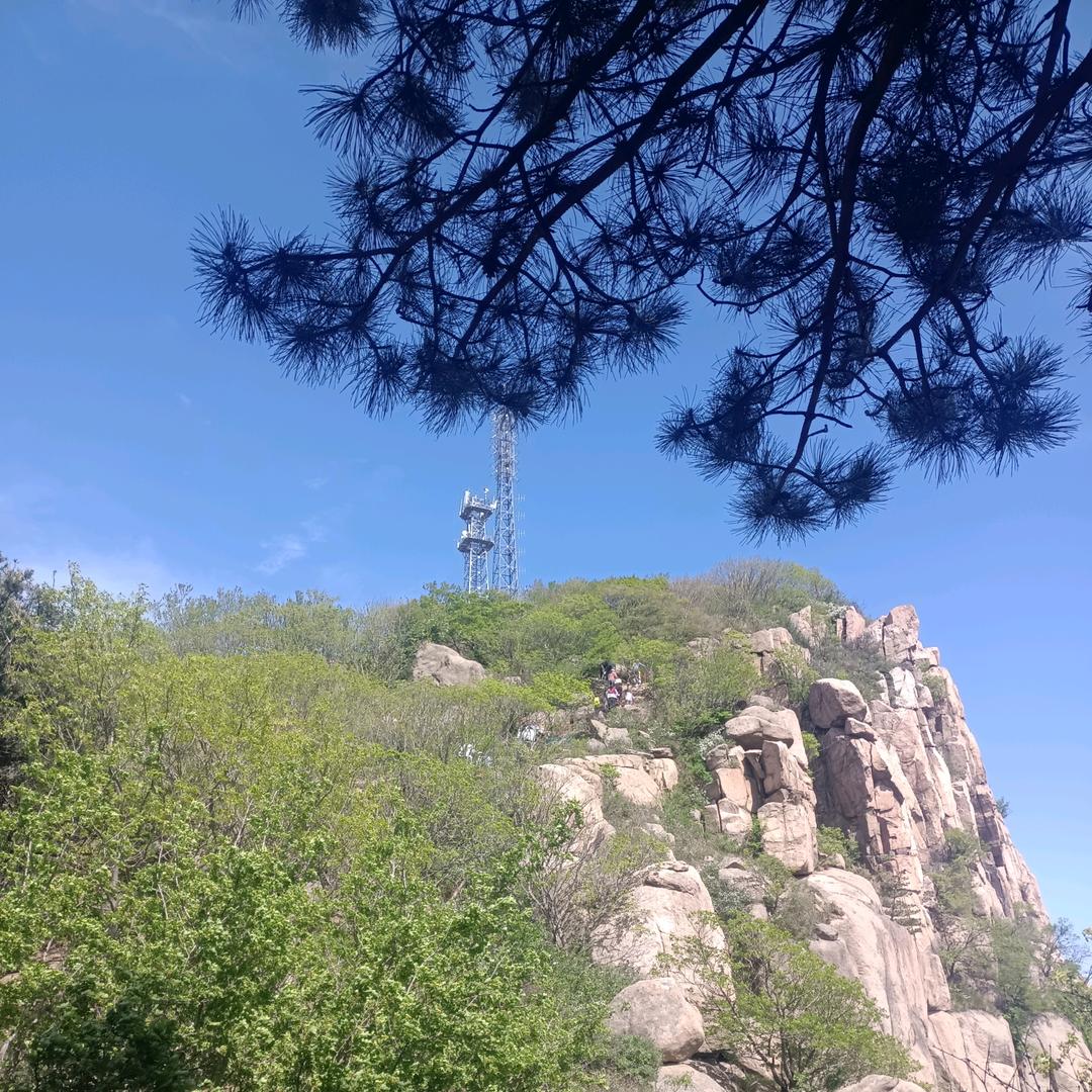 胖哥在非洲