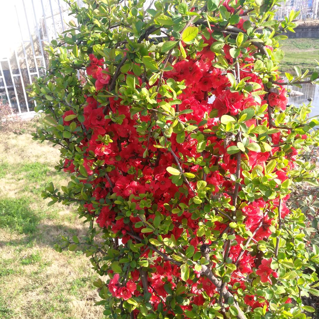 🍎珍惜当下🍎