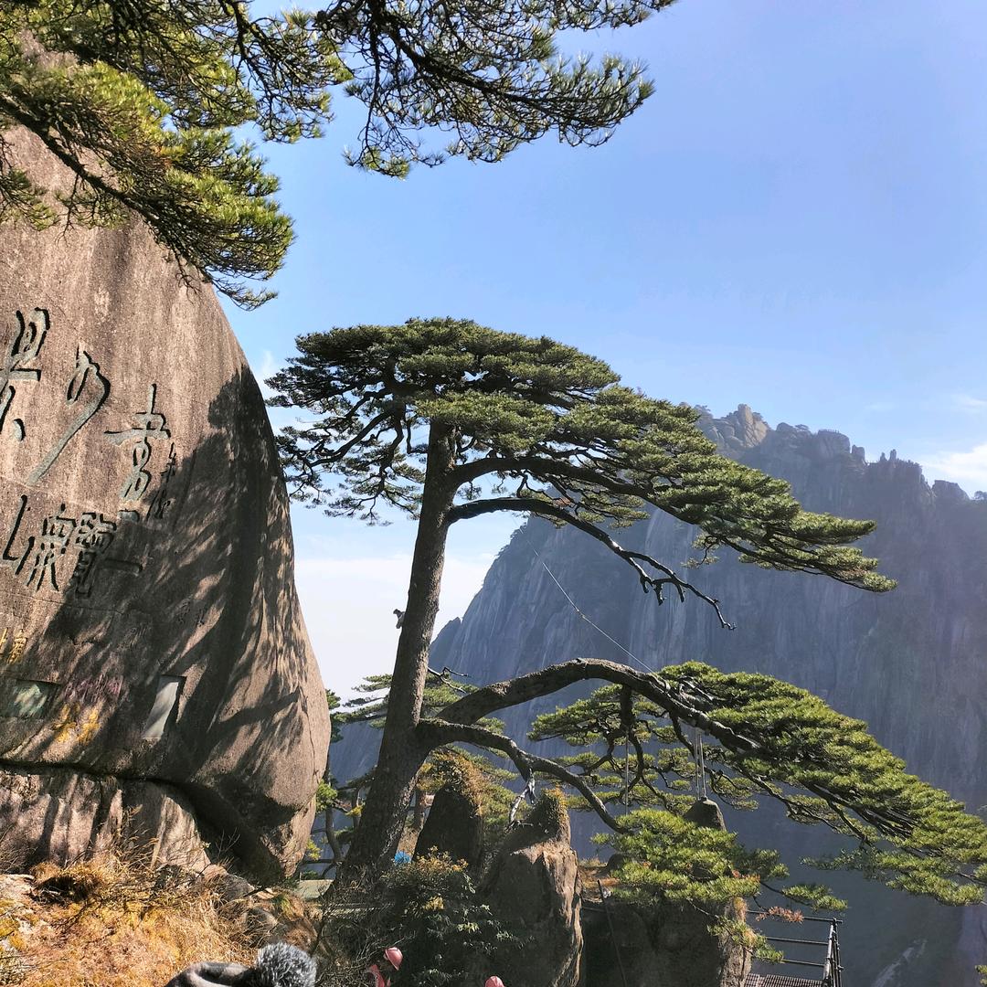 小燕子