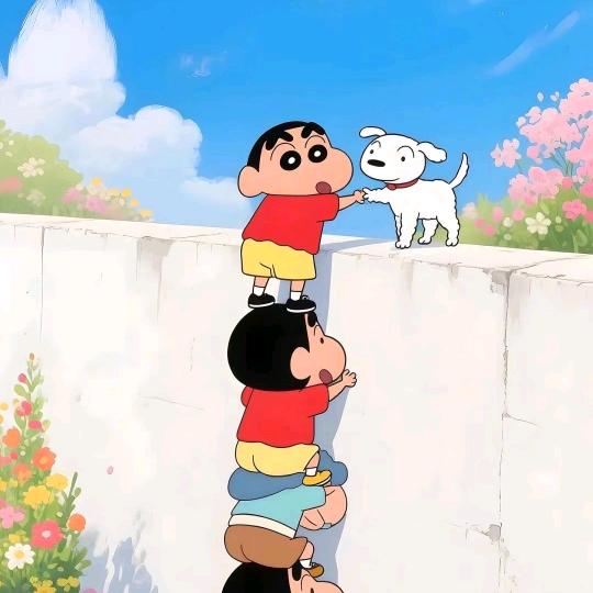 👑👑👑杨杨