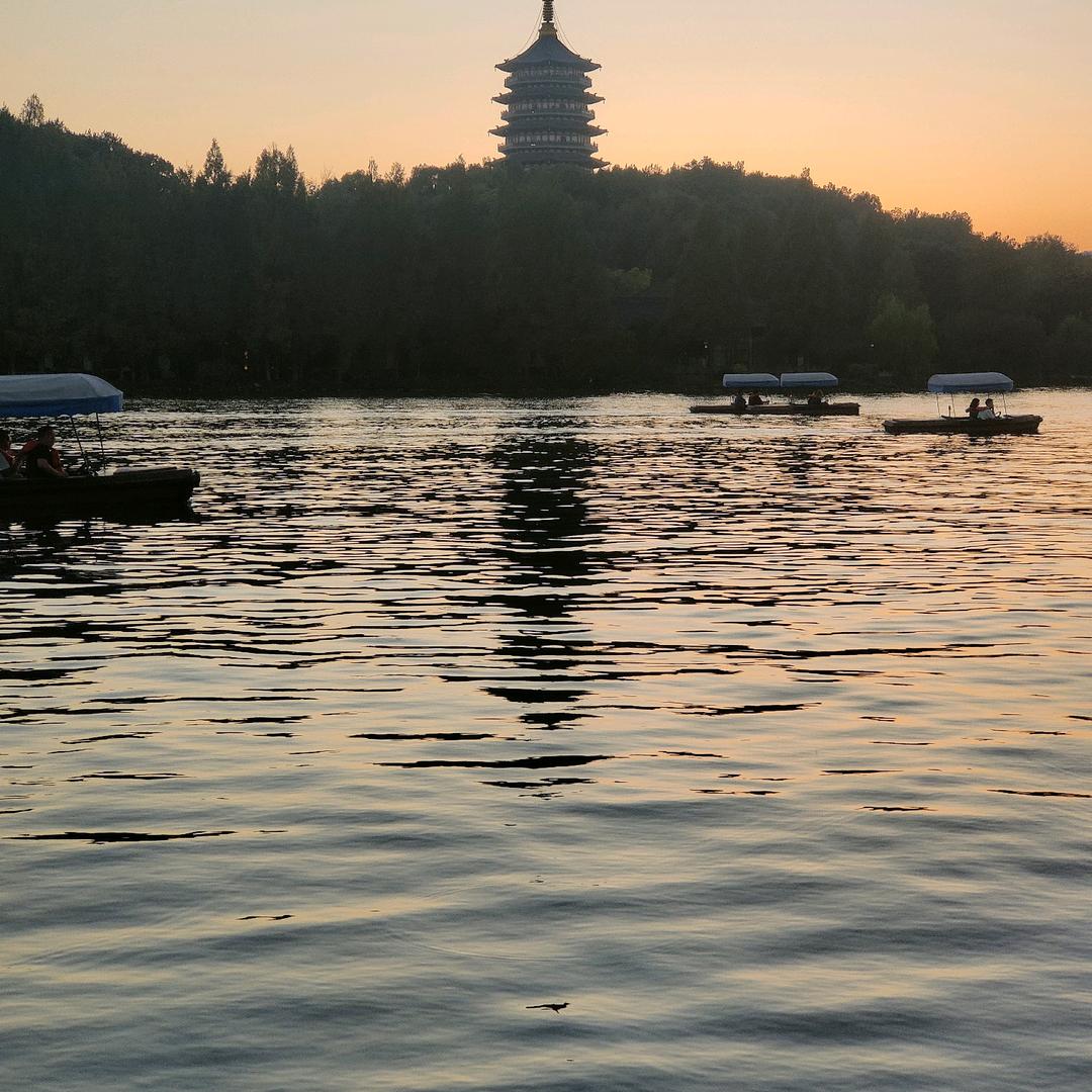 朱三哥