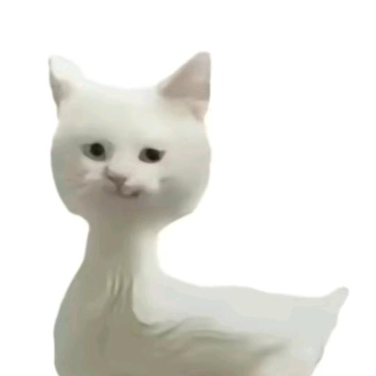 爱吃鸡爪
