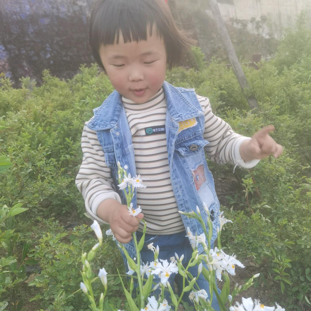 谭菊英（杨林）