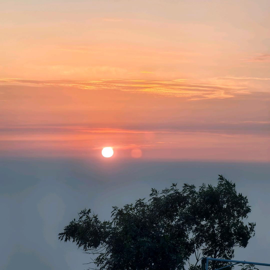 漂洋过海来看你