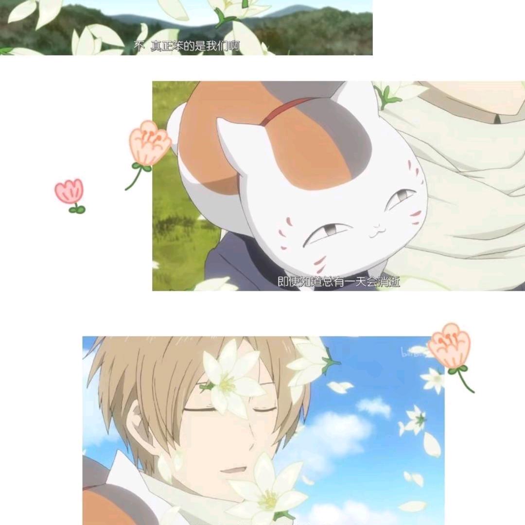 Komorebi