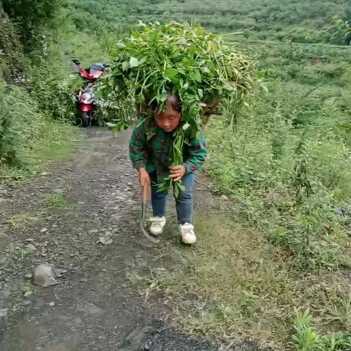 张家三小姐