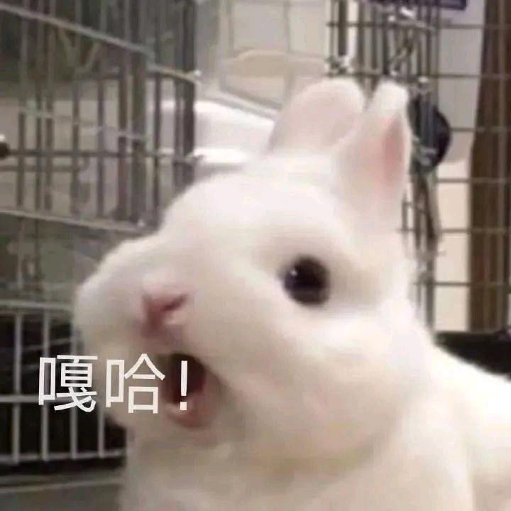 一定要开心（见过于适邓紫棋张艺兴张杰版
