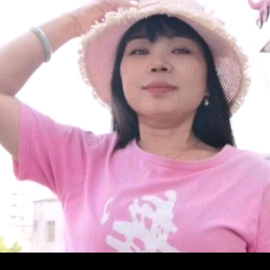 涯系客家人惠州林妹妹