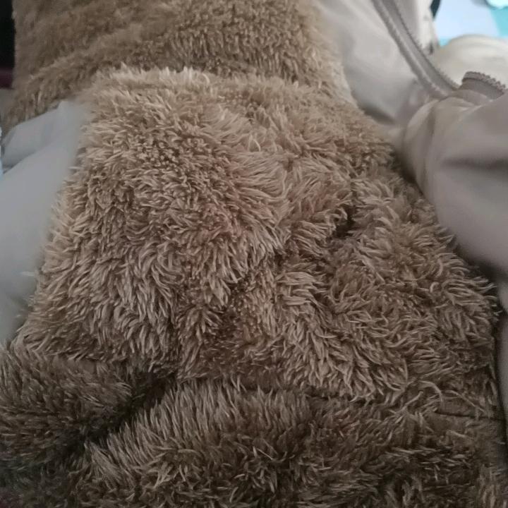 一天小生活