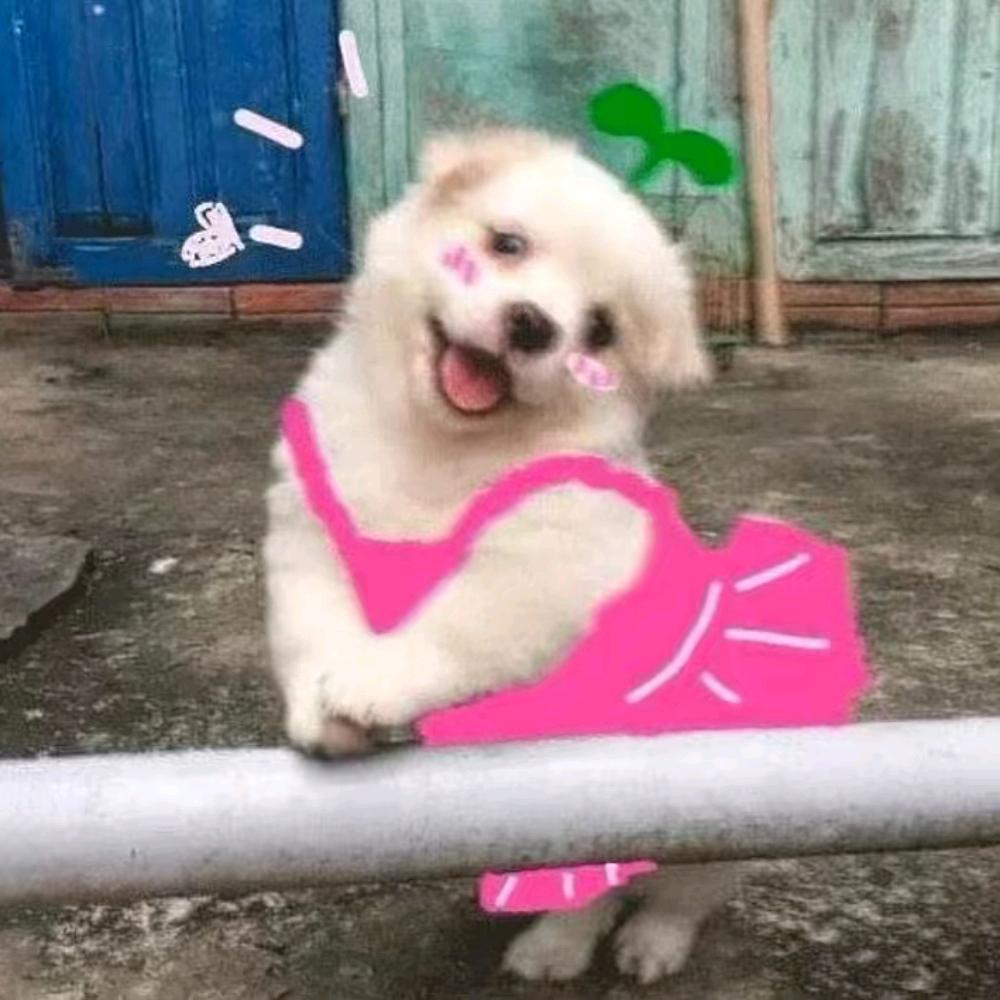 老北鼻