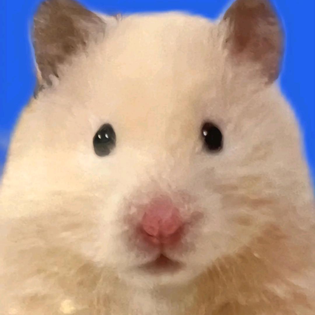 飞钱