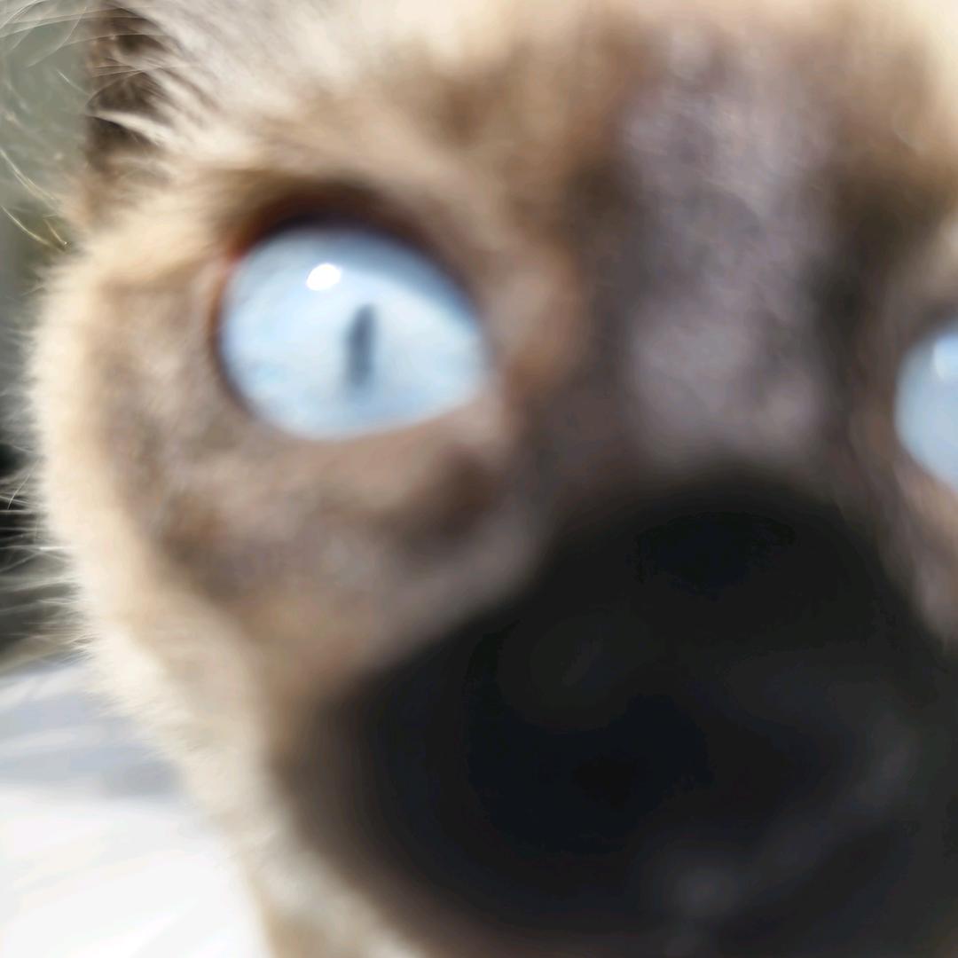 阿木你的小耳朵