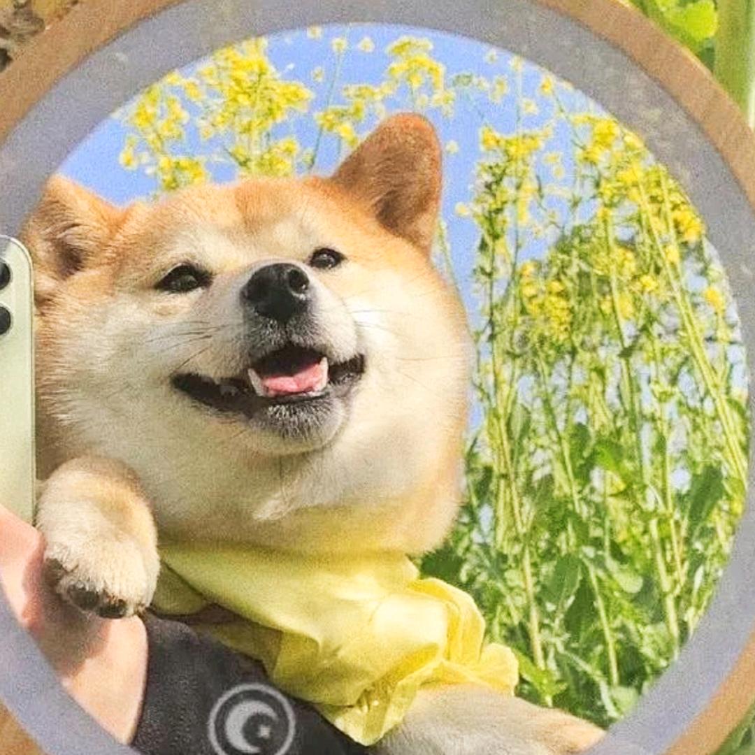 必关