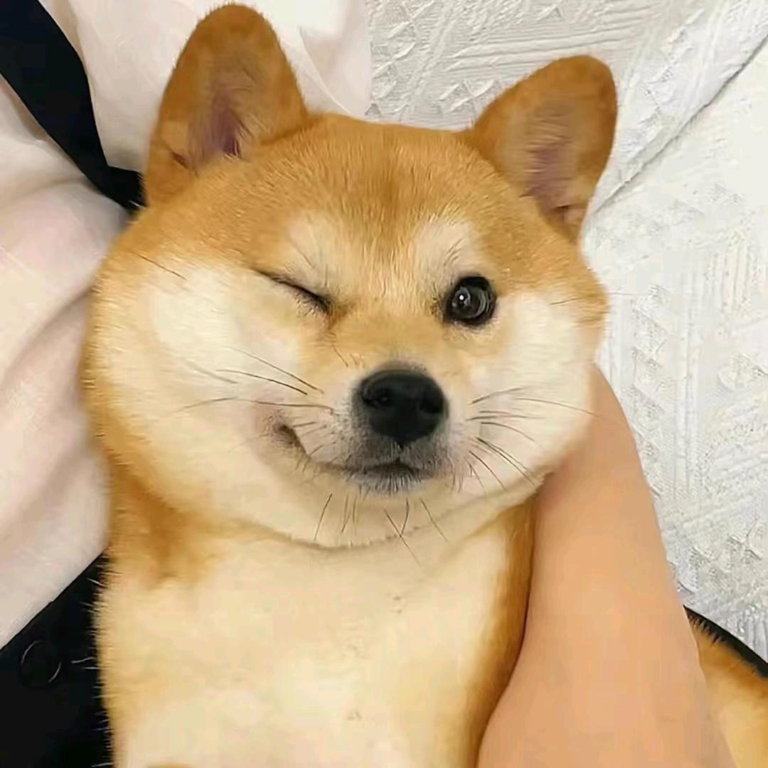 狗蛋俱乐部
