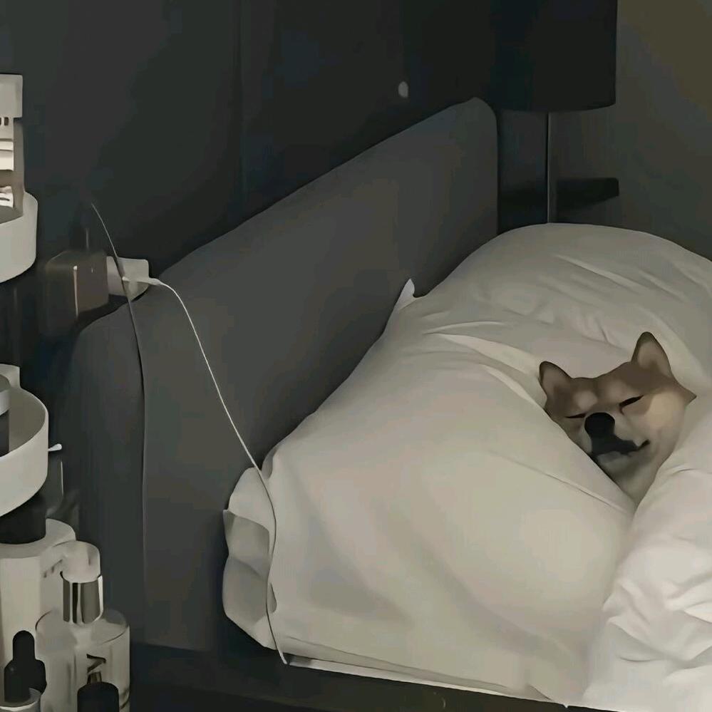 身高不足一米八