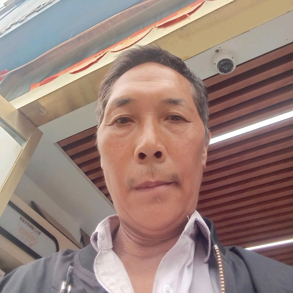 常年收购杂树单身75