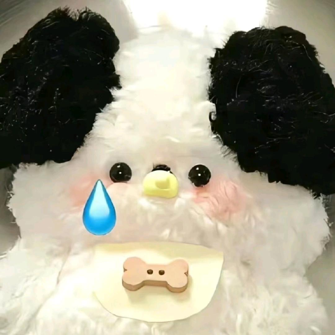 笨蛋小狗·