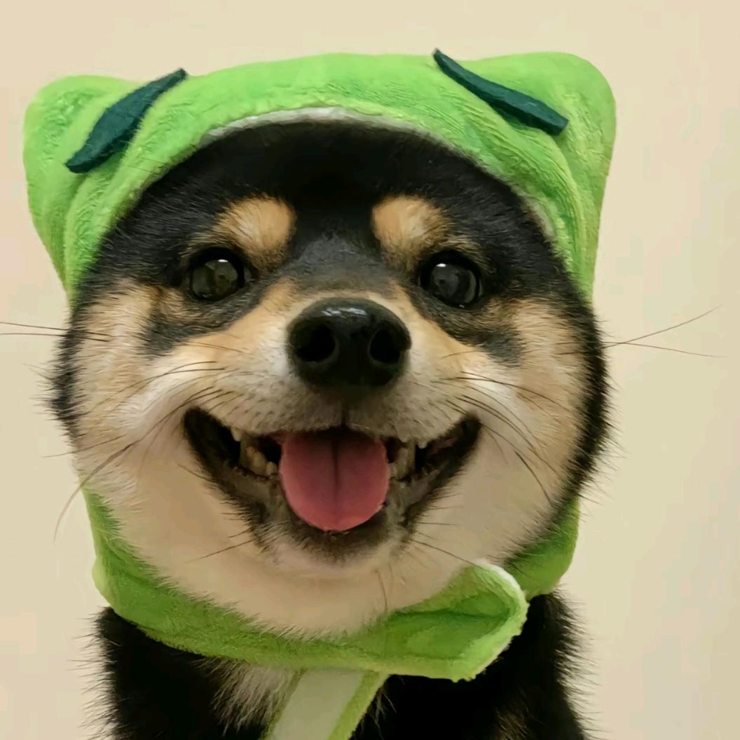 我要逆袭！！！！！