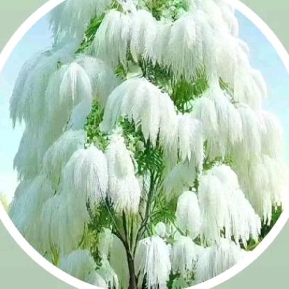 一天存两块钱