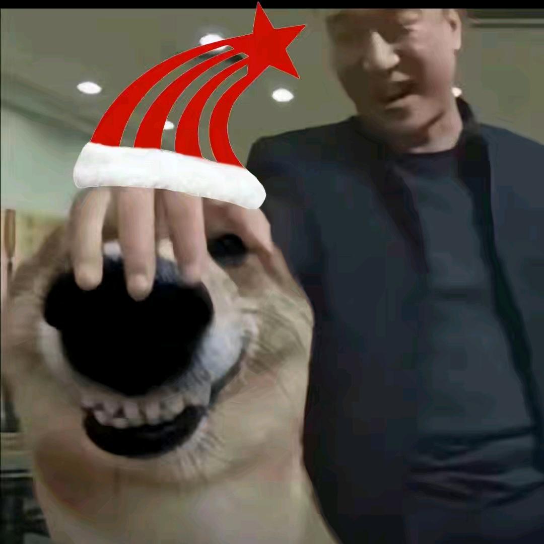 ♡ʚ°✟学术垃圾造粪中ing✟°ɞ♡