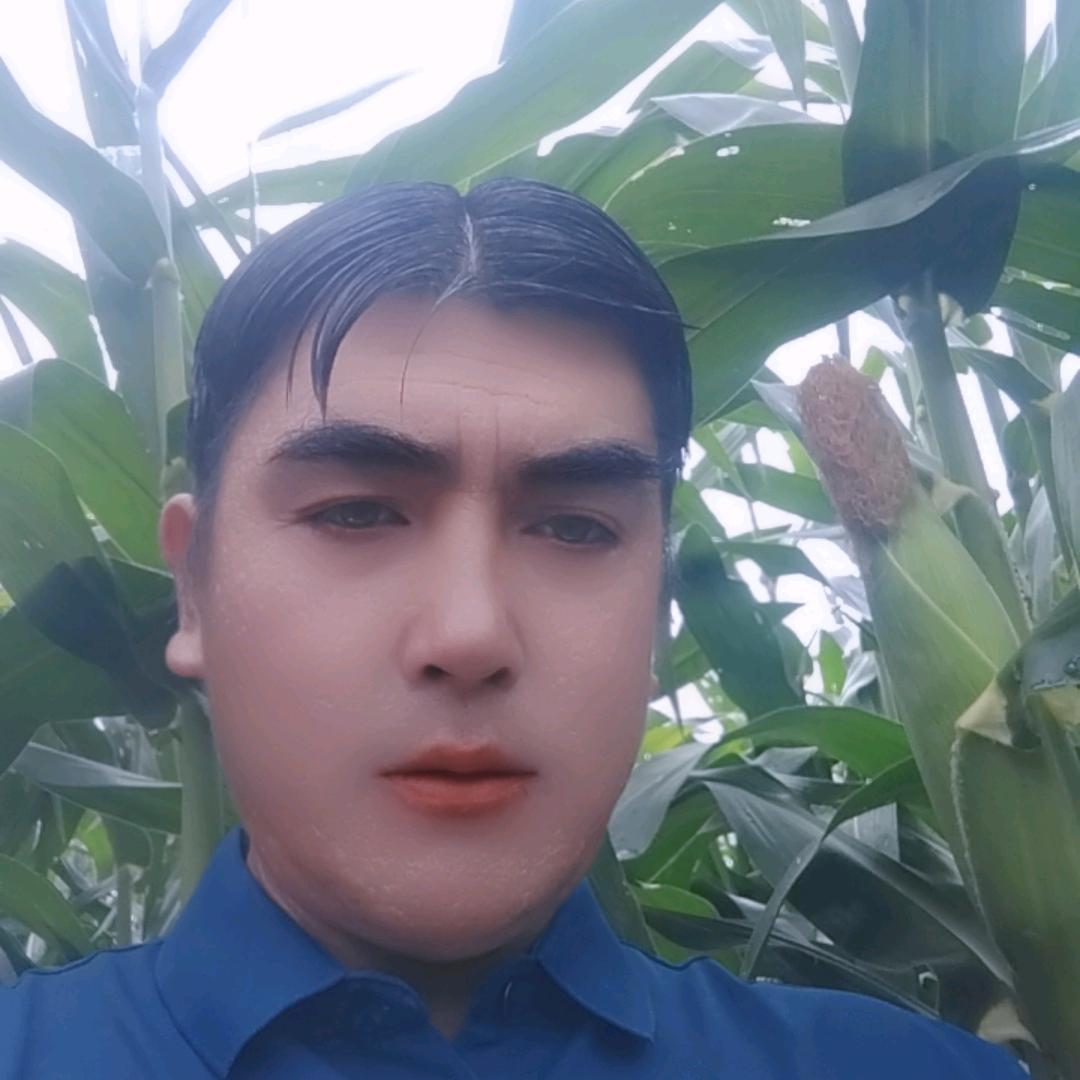 一往情深