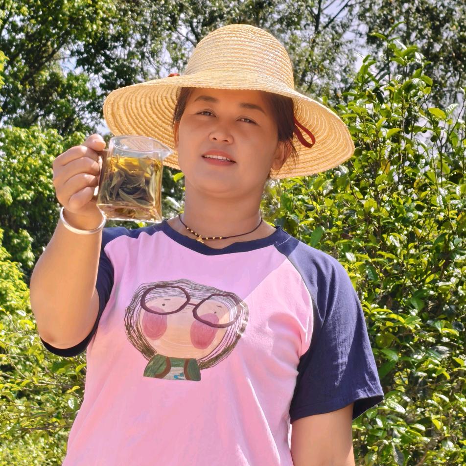 临沧茶村干部小常主任