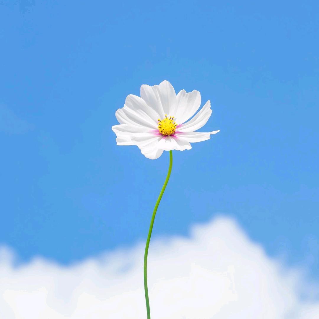 头顶没点绿日子过不下去