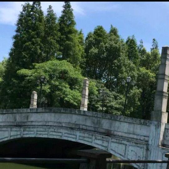 @强哥