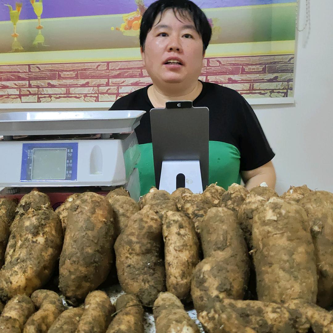 山水天麻