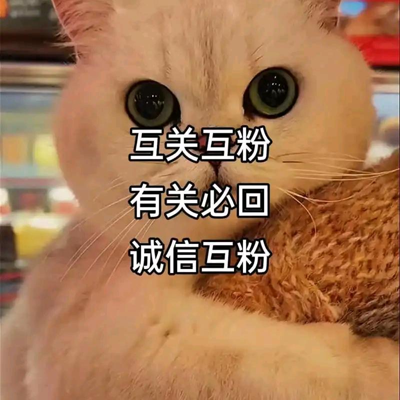 欢喜小短剧