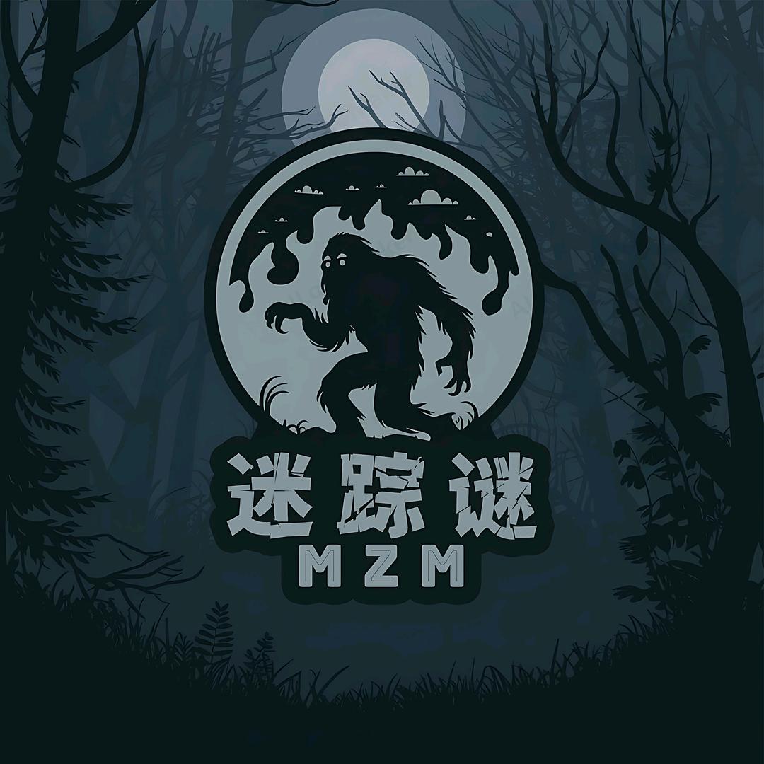 迷蹤謎
