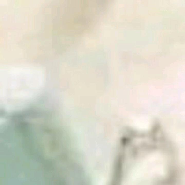 劉平平淡淡雨中百合合