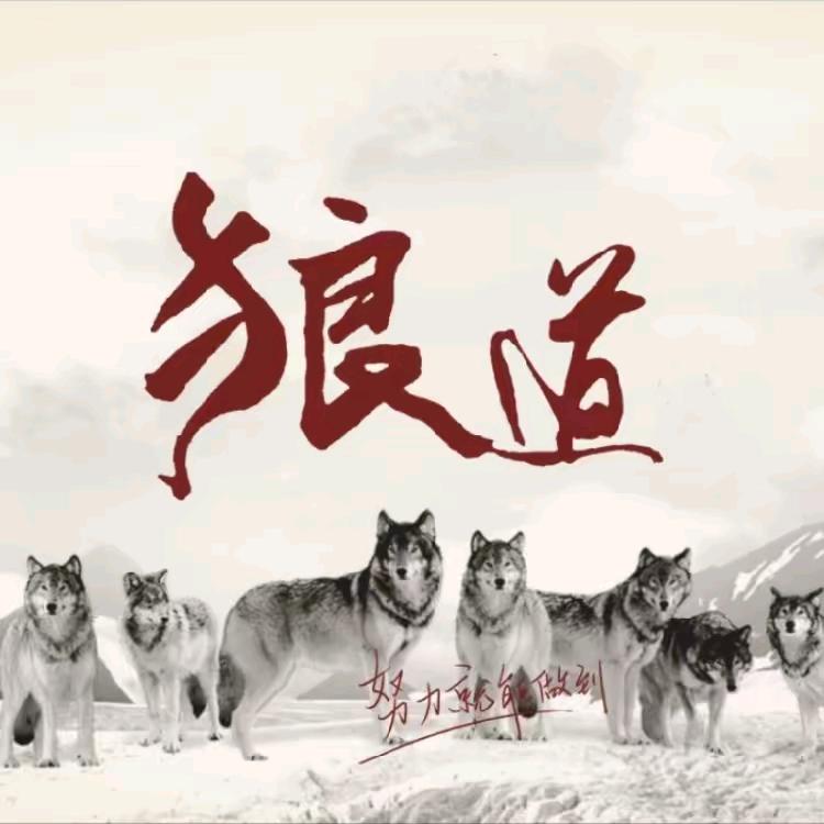 狼道の荣耀