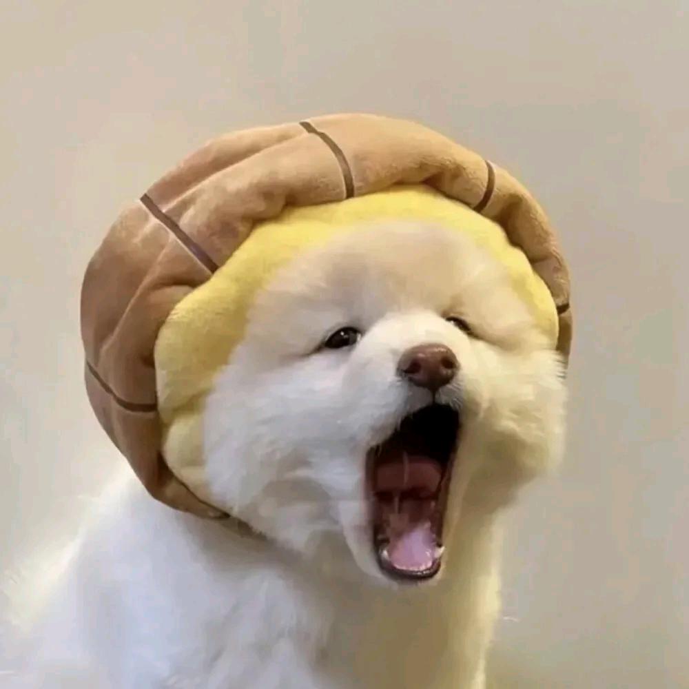 木木三3