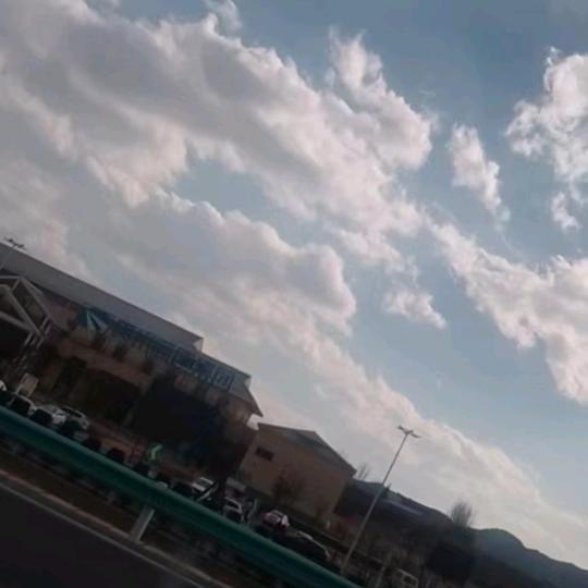 飞飞