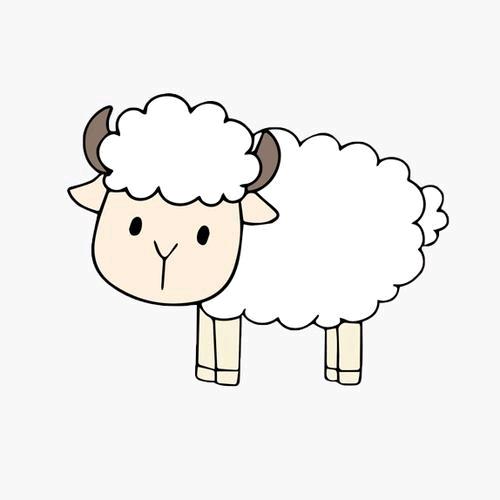 黑白羊