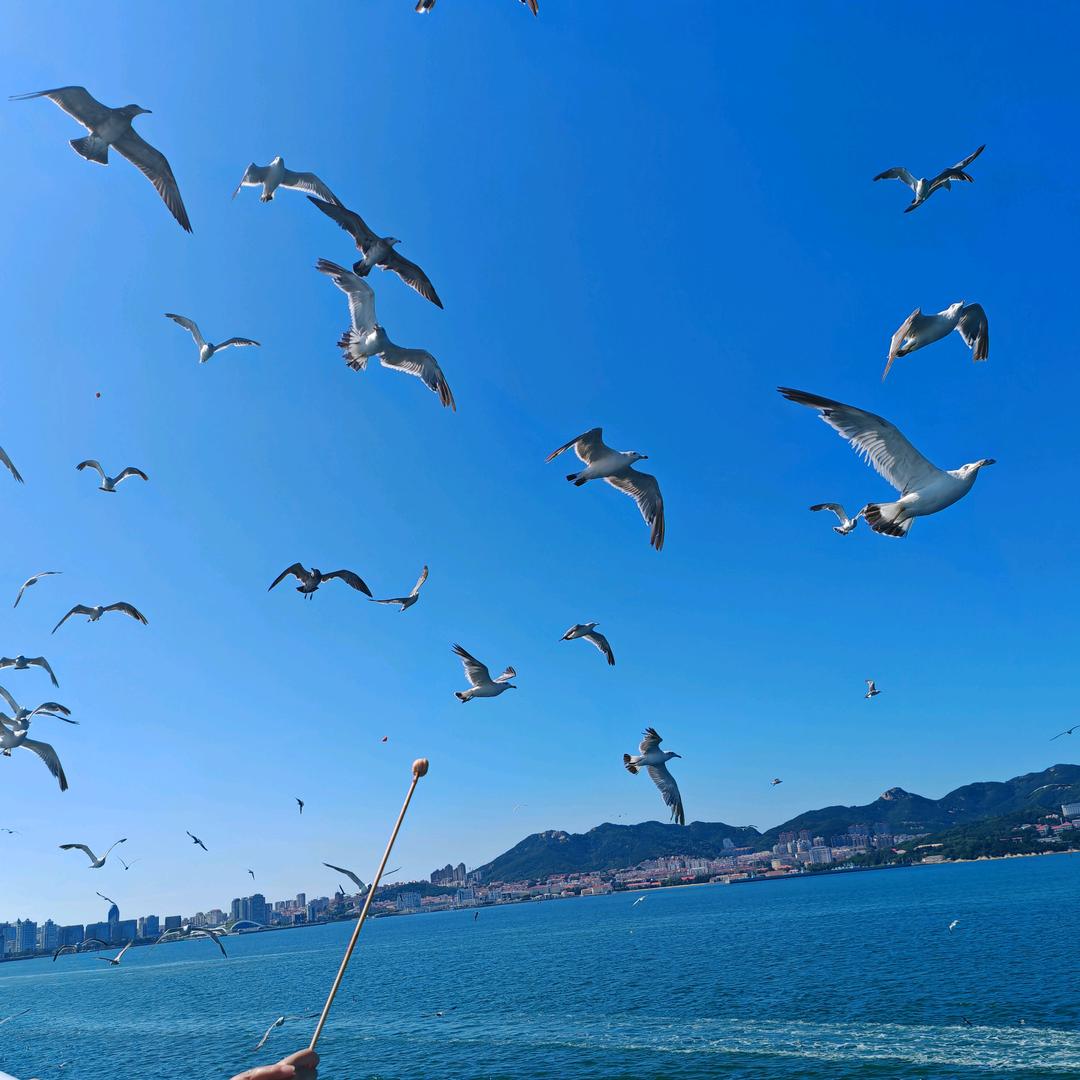 伍哥.