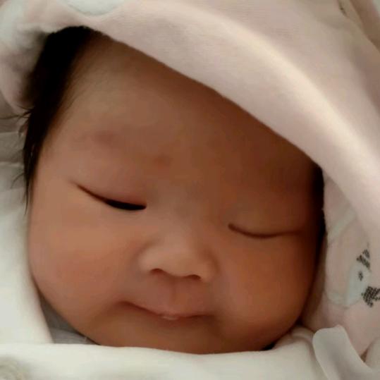 北盘江韵达极兔