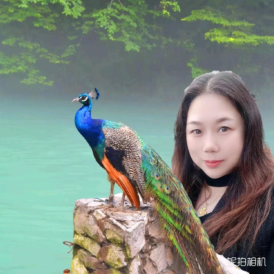 Z美美