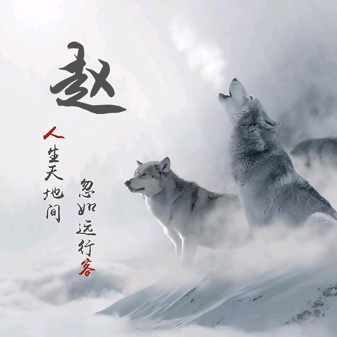 二师兄--老赵