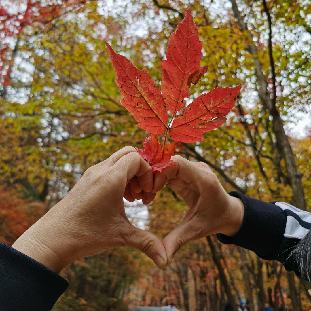 嫄饼力的故事