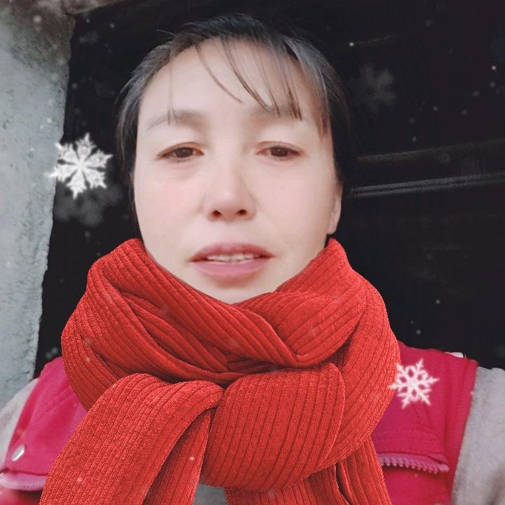 雷琴