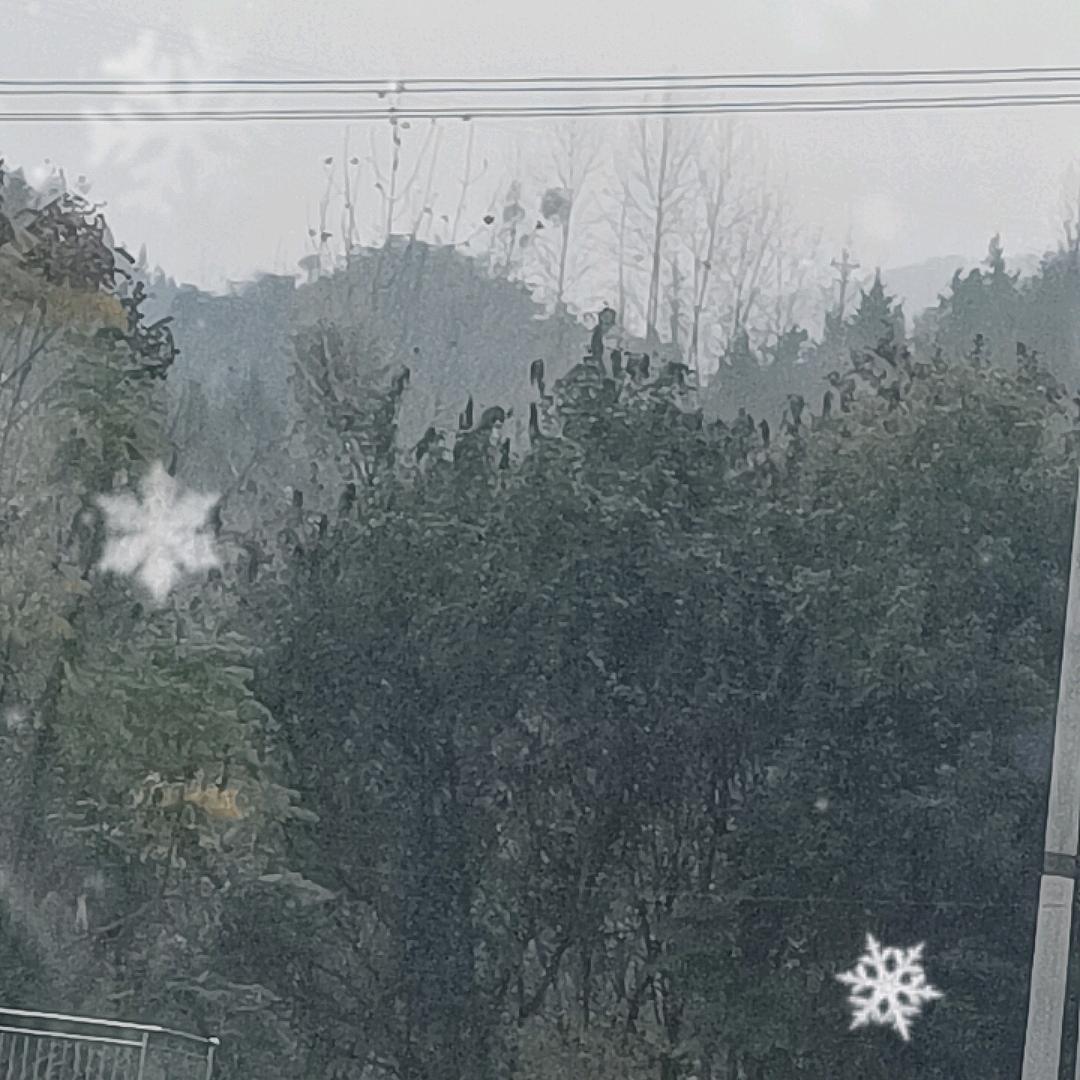 咳咳