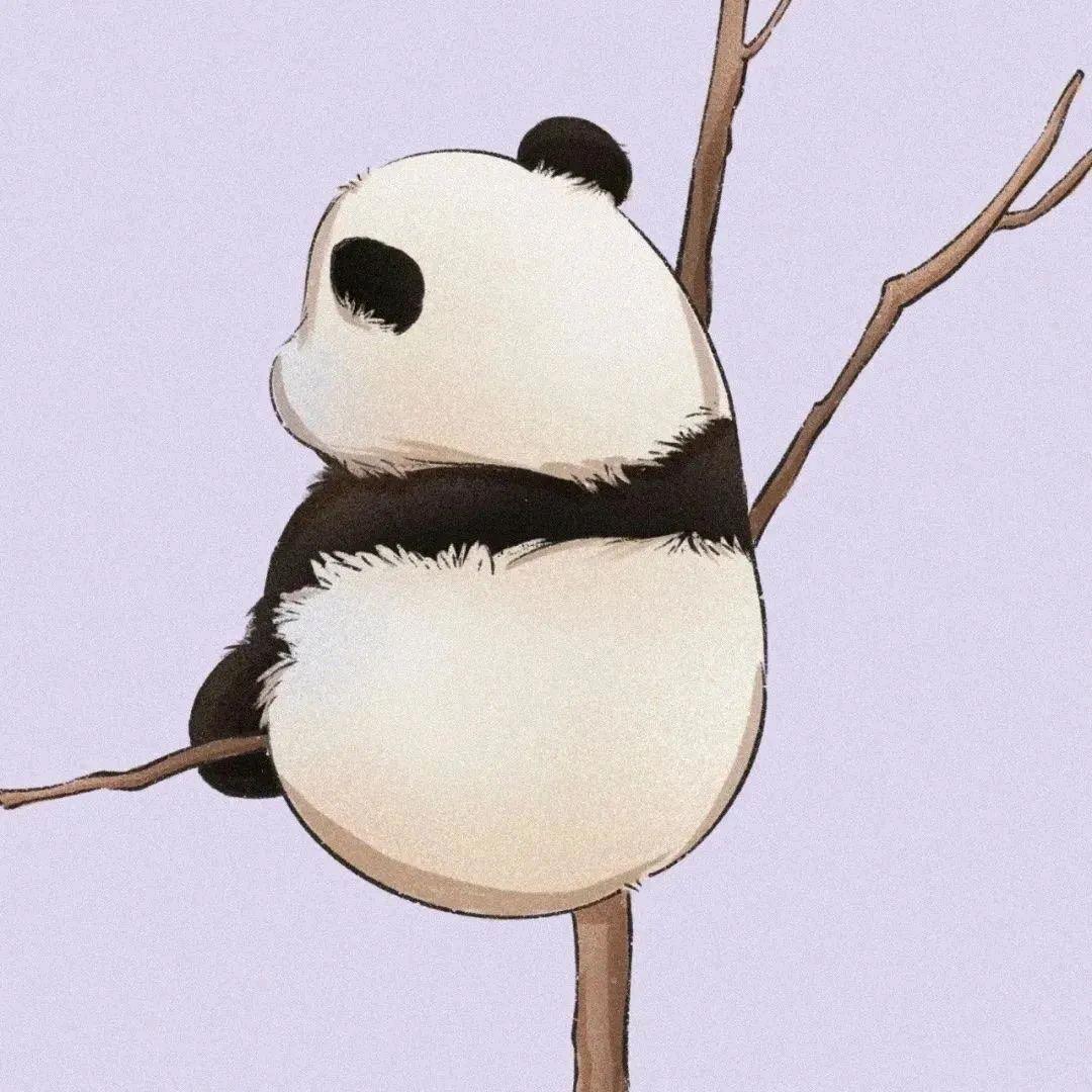 似是故人来